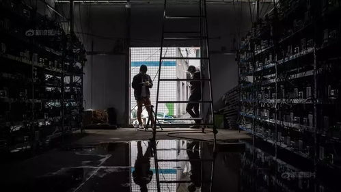 An overview of a professional mining rig setup in a Brazilian hosting facility, highlighting the advanced hardware used for scaling up operations